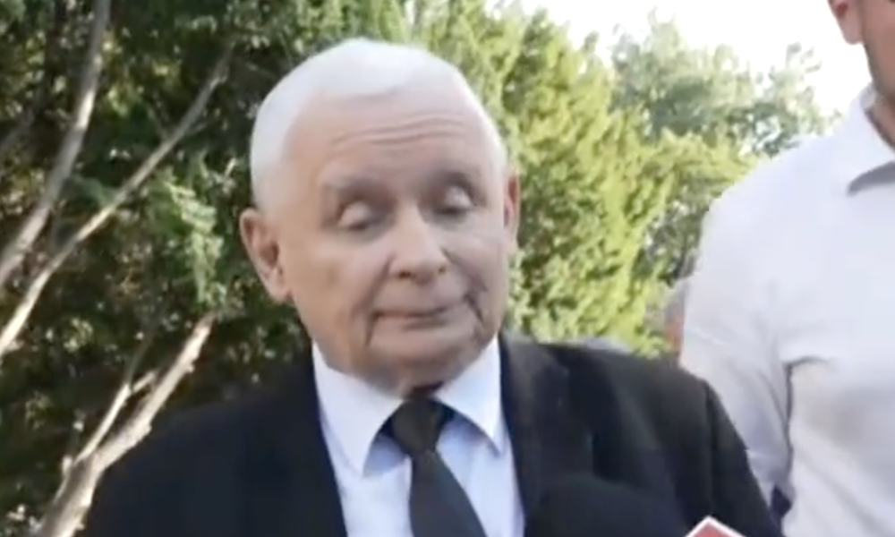 Ardanowski Kaczyński