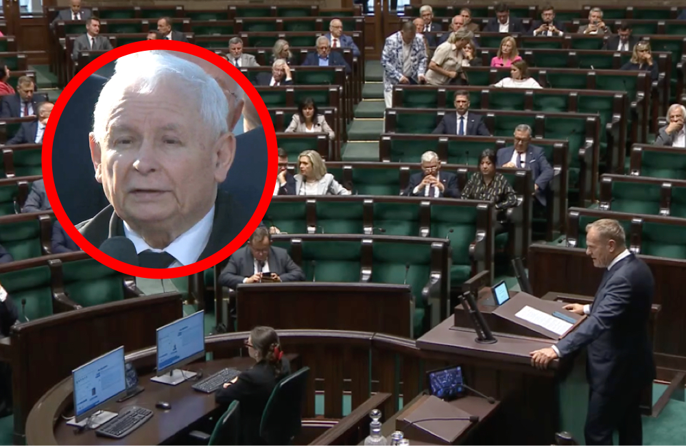 Trwało ważne wystąpienie Tuska w Sejmie, a posłowie PiS… Niebywałe, TAK wyglądały poselskie ławy. „Oni wolą…”