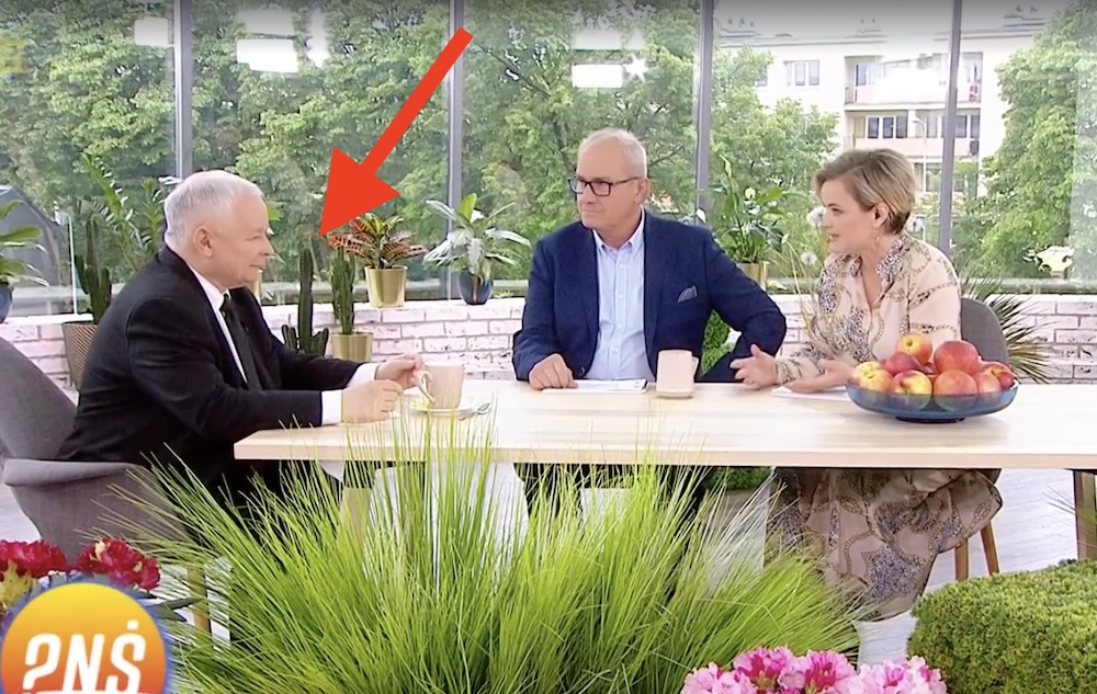 O TYM wywiadzie Kaczyński wolałby zapomnieć! Dziennikarka ujawniła kulisy, tak zachowywał się prezes. „Przyszedł wściekły”