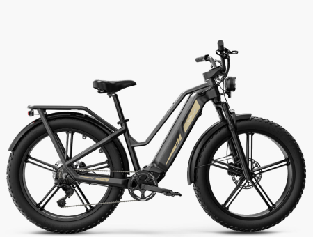 ebike