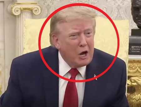 Donald Trump dziennikarka 