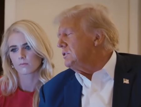 Donald Trump romans Natalie Harp 