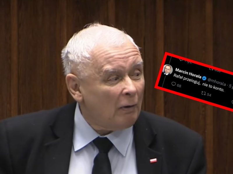 Kaczyński Horała 