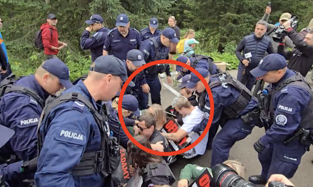 Policja aktywiści