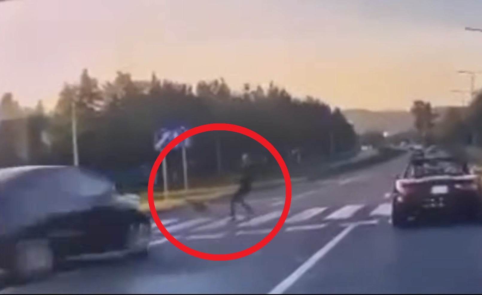 Pieszy nie żyje, bo się ścigali?! Nowe ustalenia ws. tragedii w Nowym Sączu. „Być może nagrywali wyścig”